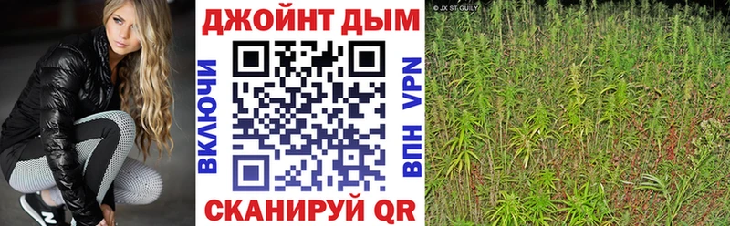 Шишки марихуана Bruce Banner Катайск